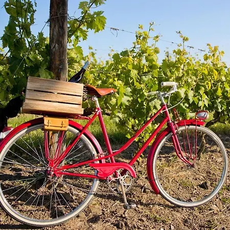 Self-check-in Vinoq Zistersdorf