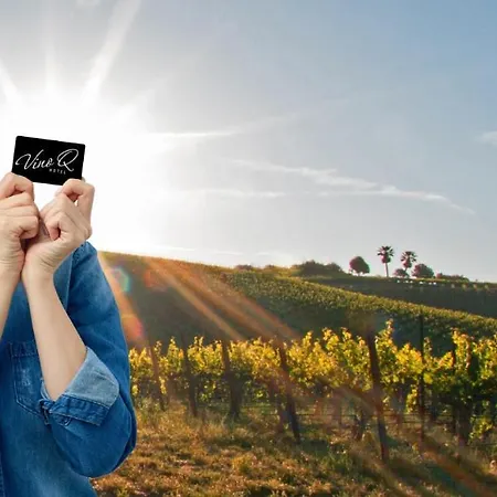 Self-check In Vino Q Hotel Zistersdorf