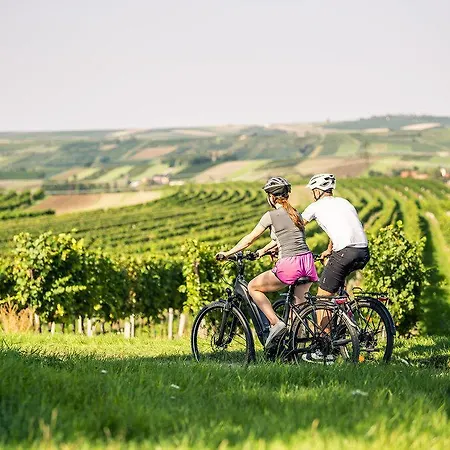 Self-check-in Vinoq Ξενοδοχείο Zistersdorf
