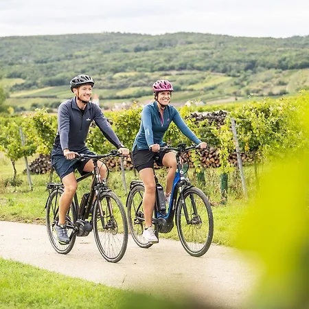 Ξενοδοχείο Self-check-in Vinoq Zistersdorf