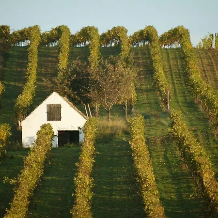 Self-check-in Vinoq 3*