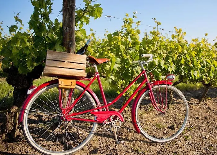 Self-check-in Vinoq Zistersdorf