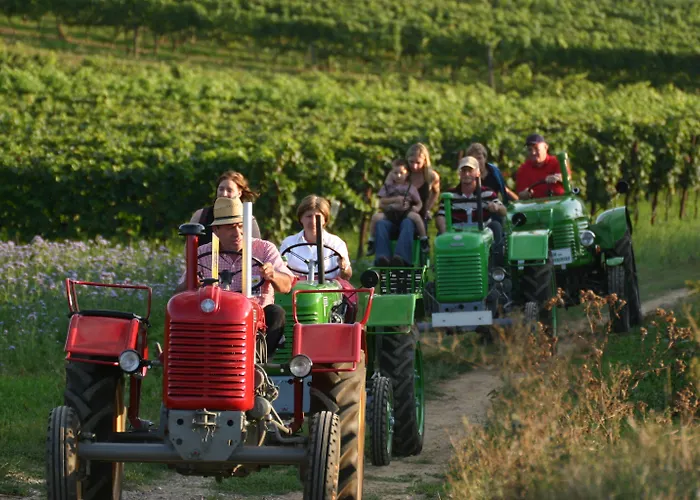 Отель Self-check-in Vinoq 3*