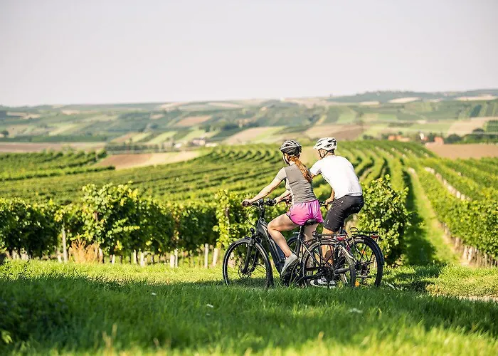 Self-check-in Vinoq Отель Zistersdorf