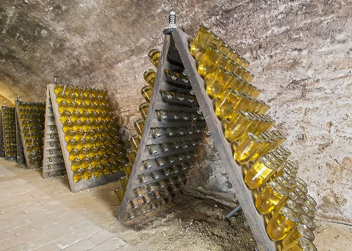 Self-check-in Vinoq 3*