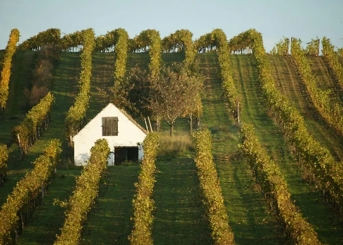 Self-check-in Vinoq 3*